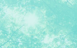pallax_02